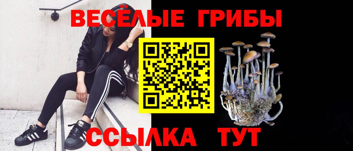 Псилоцибиновые грибы Psilocybine cubensis  Галлюциногенные грибы Psilocybine cubensis  Вход с VPN  Нальчик 